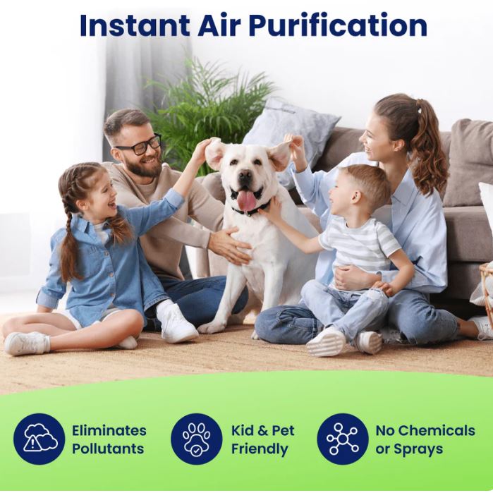Ionic Air Purifier