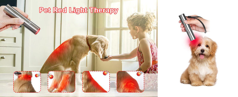 Lampe torche LED infrarouge pour soulager la douleur 