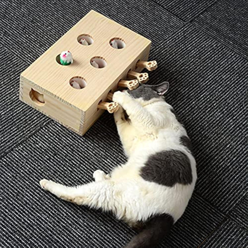 Jouets interactifs en bois pour chats 