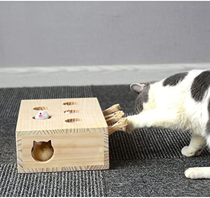 Jouets interactifs en bois pour chats 