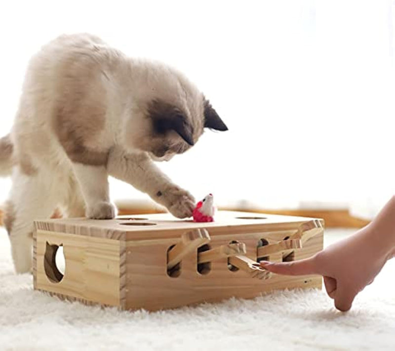 Jouets interactifs en bois pour chats 