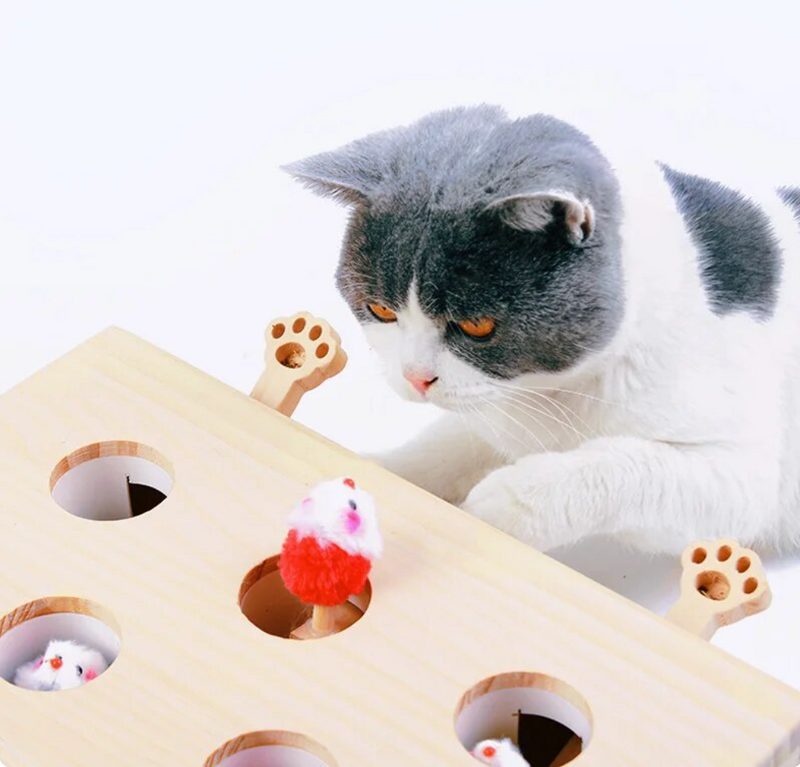 Jouets interactifs en bois pour chats 