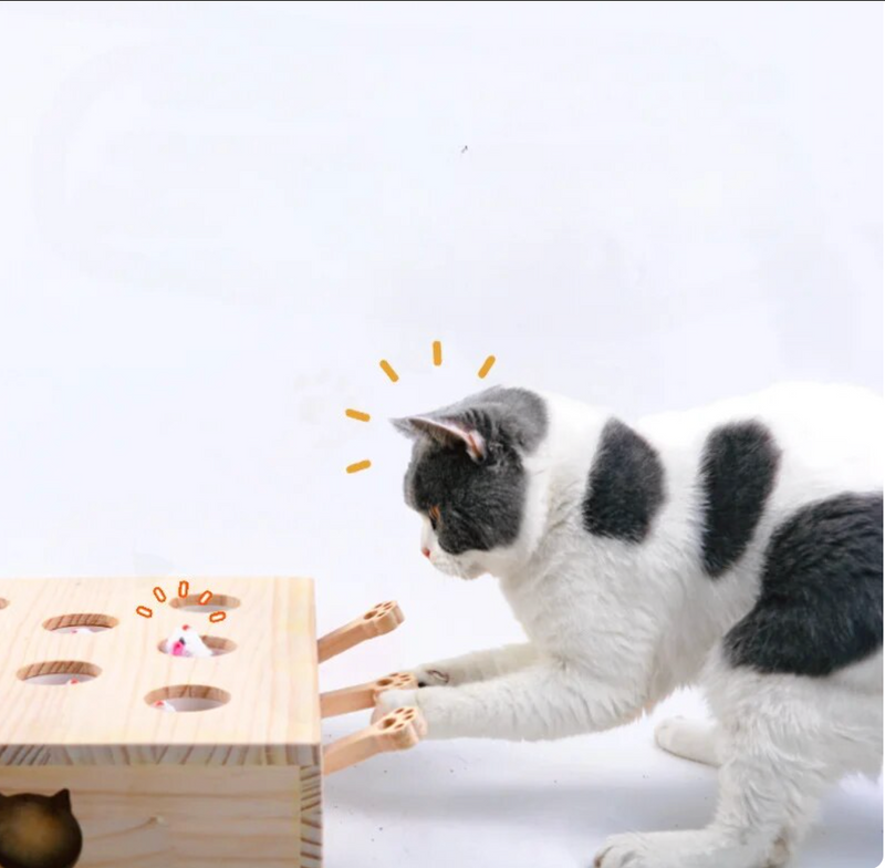 Jouets interactifs en bois pour chats 