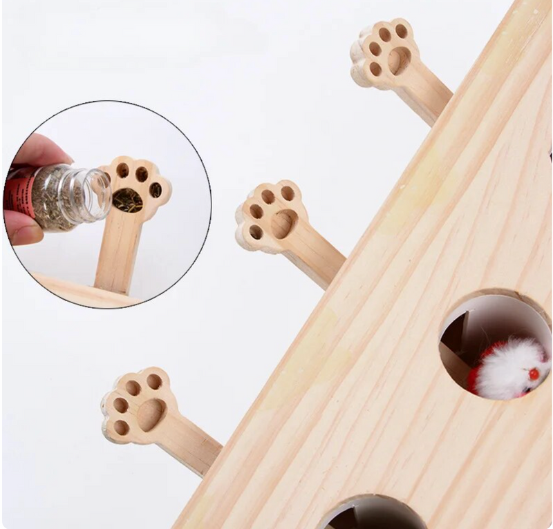 Jouets interactifs en bois pour chats 