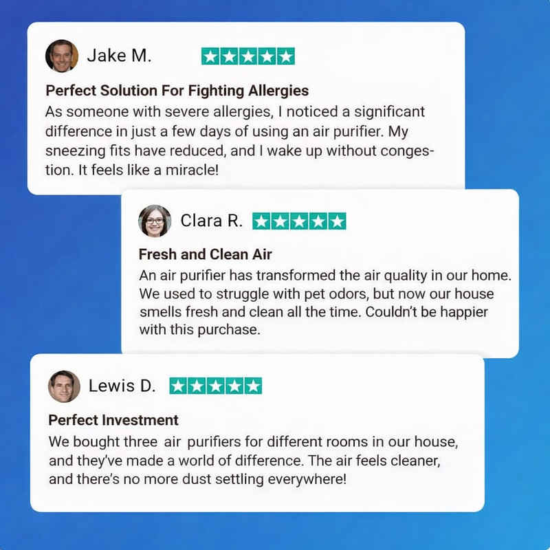 Ionic Air Purifier
