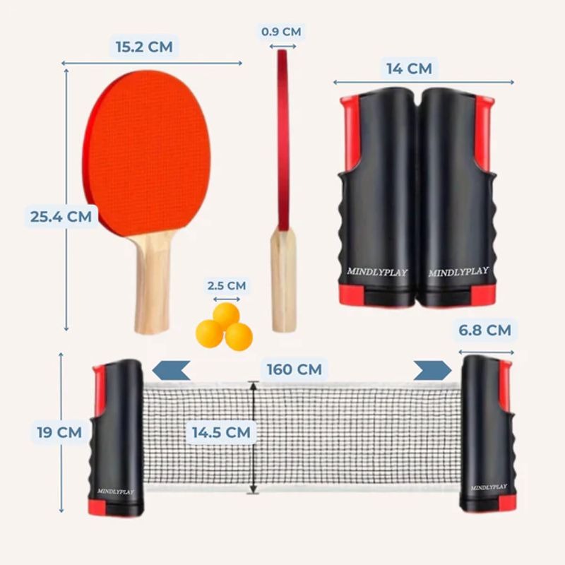 Ensemble de tennis de table tout-en-un NetFlex – Jouez n'importe où, n'importe quand